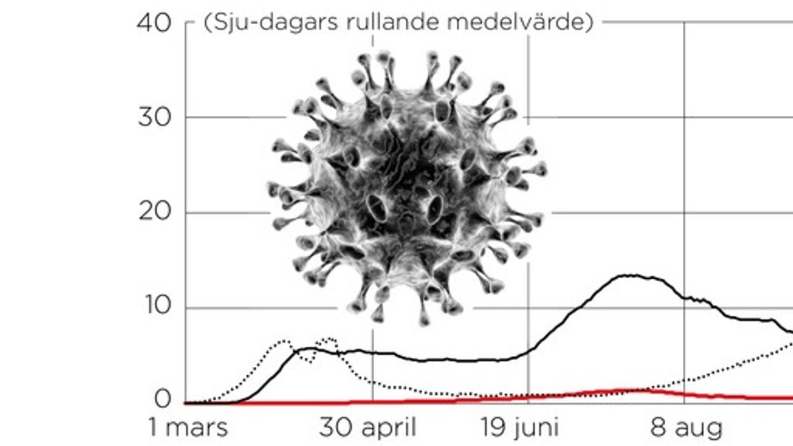 Antal nya fall per 100 000 invånare per dag. Foto: Johan Hallnäs/TT. 