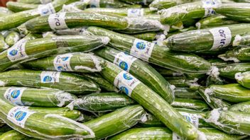 Genrebild. Foto: Adam Ihse/TT