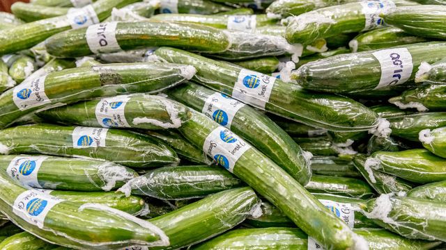 Genrebild. Foto: Adam Ihse/TT