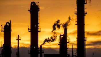 Kemiindustrier som BASF, INEOS och Fibrant märker av pressen från EU. Foto: Michael Probst/AP/TT