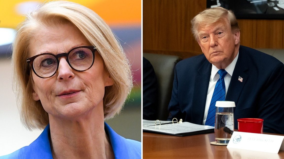 Elisabeth Svantesson (M) pekar ut Donald Trump för utebliven tillväxt. Foto: European Union, The White House
