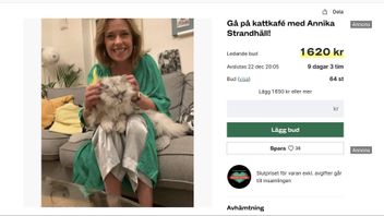 Nu har du chansen att få diskutera vad du vill över en kattfika. Foto: Skärmdump