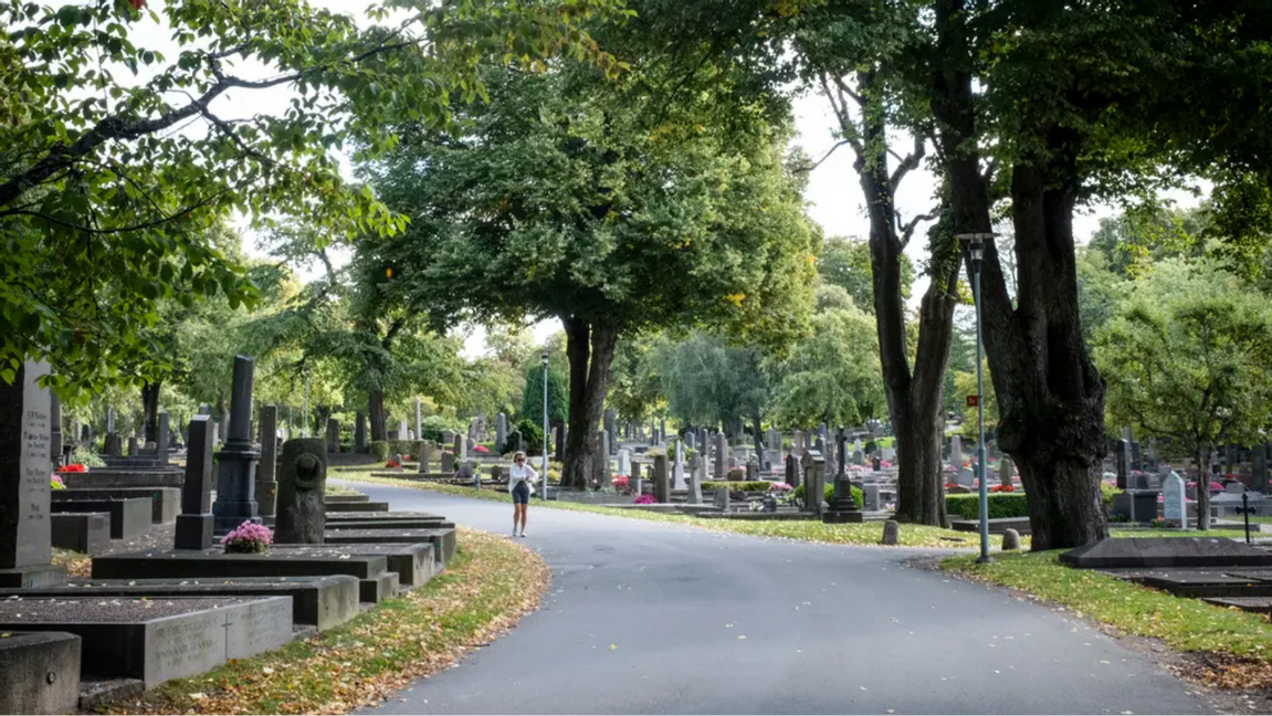 Narkotika både göms och säljs på Östra Kyrkogården i Göteborg. Foto: Helena Landstedt/TT