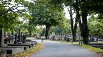 Narkotika både göms och säljs på Östra Kyrkogården i Göteborg. Foto: Helena Landstedt/TT