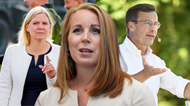 Foto: Henrik Montgomery/Ali Lorestani/Mats Engfors/TT