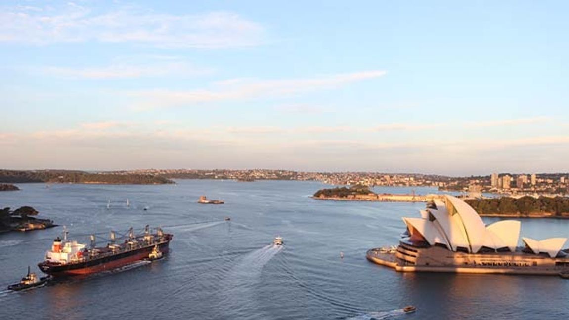 Nu kan besökare åter igen se ut över Sydney innan de landar. Foto: TT