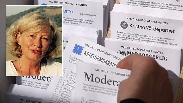 Nina Möller guidar till utlandsröstning. Foto: Privat / Fredrik Sandberg/TT