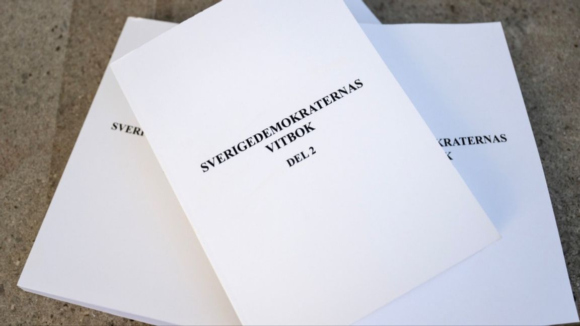 Tjock nog att användas som tillhygge. Foto: Christine Olsson/TT