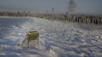 För att undvika ännu ett löfte som inte hålls i vargfrågan krävs att arbetet börjar snabbt. För att nå riksdagens mål krävs en nettojakt på mellan hälften och två tredjedelar av stammen i dag. Det blir omöjligt att nå om inte arbetet börjar snarast. Foto: Peter Vixtröm/TT 