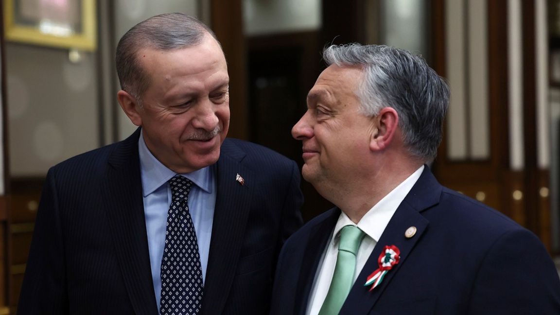 Turkiets president Recep Tayyip Erdogan, till vänster, och Ungerns premiärminister Viktor Orbán vid ett möte i Ankara i mars. Foto: Turkiets presidentkansli/AP