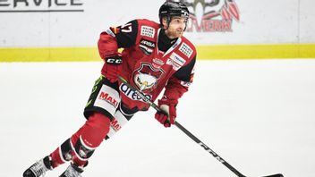 Adam Johnson blev 29 år gammal. Foto: Andreas Hillergren/TT