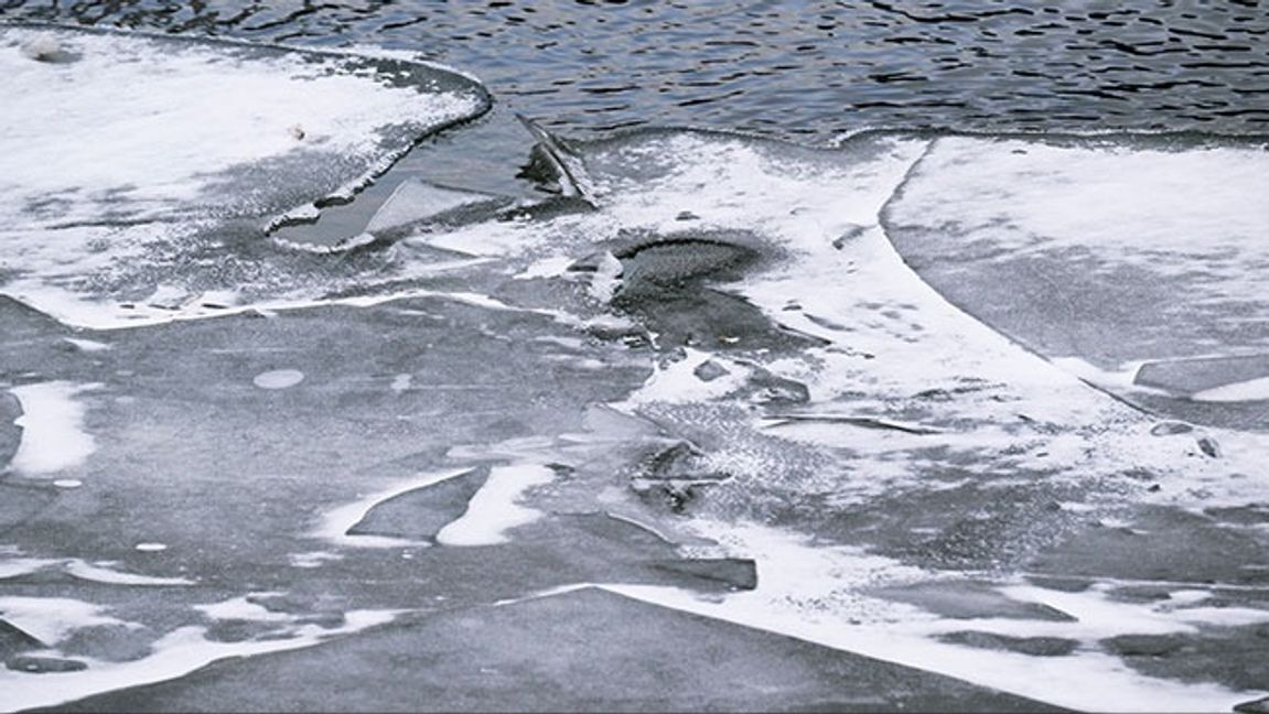 Tunn is på Mälaren. Foto: Claudio Bresciani/TT