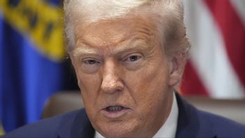 President Donald Trump. Foto: Mark Schiefelbein/AP/TT