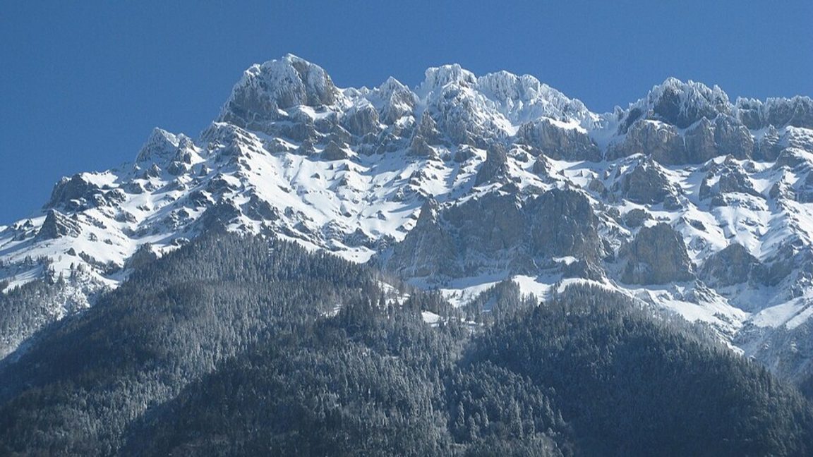 Triftglaciären i kantonen Valais i södra Schweiz. Foto: Yair Haklai/CC BY 3.0