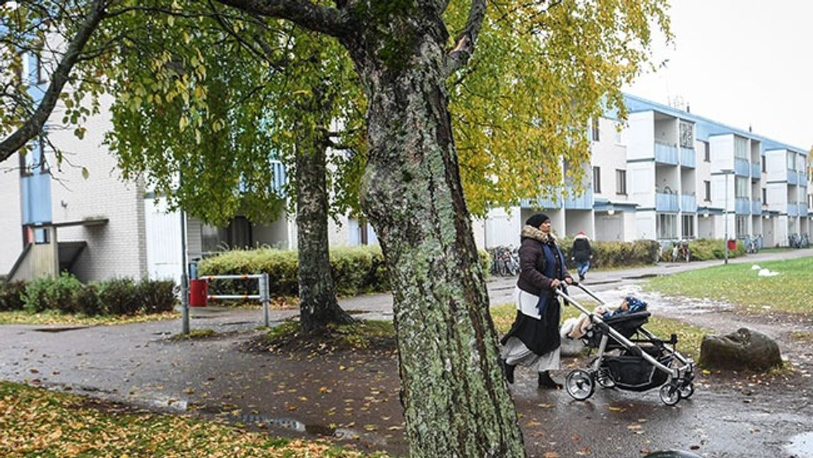 Bostadsområdet Tjärna ängar i Borlänge. Bild: Fredrik Sandberg / TT