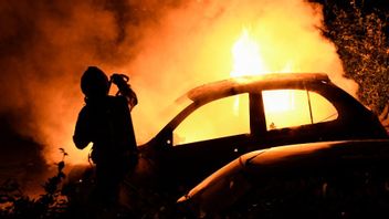 Foto: Johan Nilsson/TT