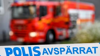 Foto: Henrik Montgomery/TT