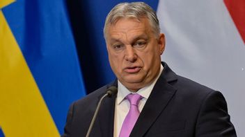 Ungerns premiärminister Viktor Orban. Arkivbild Foto: Denes Erdos/AP/TT