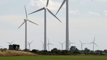 Vindkraftsverk på Gotland. Genrebild. Foto: Fredrik Sandberg/TT