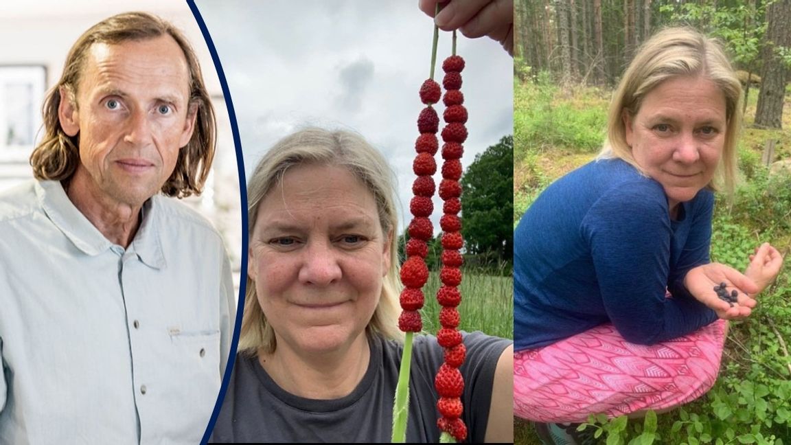 Röda smultron på strå, blåbär i handen, mer svensk sommaridyll än så kan det knappast bli. Fotona är hämtade från Instagram. 