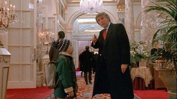 Trump i ”Ensam hemma 2”-scenen som regissören nu beskriver som ”en förbannelse” Foto: Faksimil/IMDB.