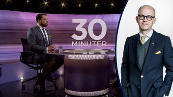 Ur partiledarintevjun i SVT:s 30 minuter med Jimmie Åkesson (SD). Foto: svtplay