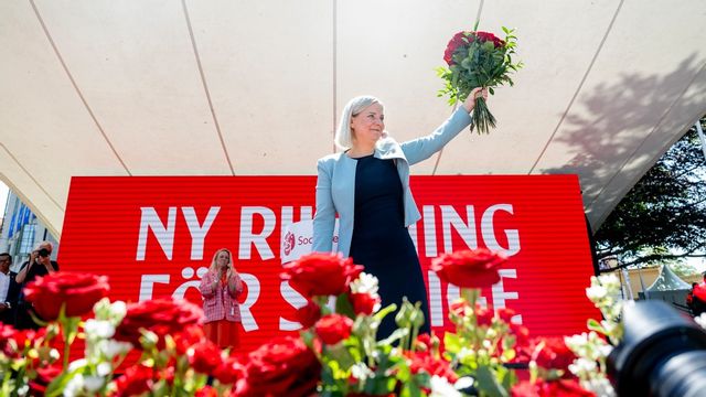 Är det viktigaste att stoppa Andersson eller att rösta fram ett alternativ med brister, men som inte är Andersson? Foto: Christine Olsson/TT