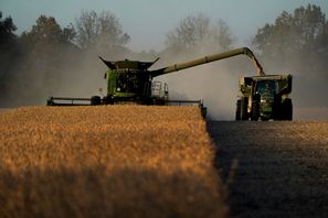 Sojabönor skördas på en gård i Kentucky. Bönorna är en av de produkter som EU nu vill införa tullar på från USA. Arkivbild. Foto: Joshua A. Bickel/AP/TT