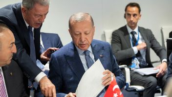 Turkiets utrikesminister Mevlüt Çavusoglu och president Recep Tayyip Erdogan. Foto: Henrik Montgomery/TT