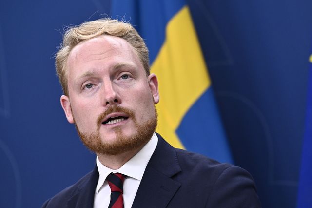 Aron Emilsson (SD), ordförande för riksdagens utrikesutskott. Arkivbild. Foto: Jonas Ekströmer/TT