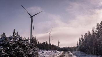 Markbygdens vindkraftverk utanför Piteå är Europas största vindkraftspark på land. Nu genomgår anläggningen en rekonstruktion för att undvika konkurs. Bild: Magnus Hjalmarson Neideman/SvD/TT 