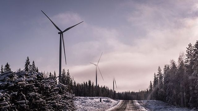 Markbygdens vindkraftverk utanför Piteå är Europas största vindkraftspark på land. Nu genomgår anläggningen en rekonstruktion för att undvika konkurs. Bild: Magnus Hjalmarson Neideman/SvD/TT 
