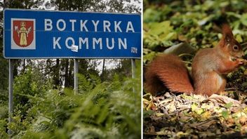 Botkyrka kommun riskerar böter för att de satt upp en varningsskylt med en ekorre. Foto: Mickan Palmqvist/TT/Ina Fassbender