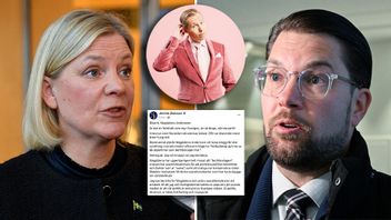 Jimmie Åkesson sågar Magdalena Andersson efter den uppmärksammade DN-intervjun. Foto: Samuel Steén/Anders Wiklund/TT/Jens Nordström/Pressbild/Facebook