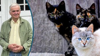 Torsten Sandström tar oss med på en kattresa genom tillståndet i riket. Foto: Privat / Jesus Solana (CC BY 2.0)