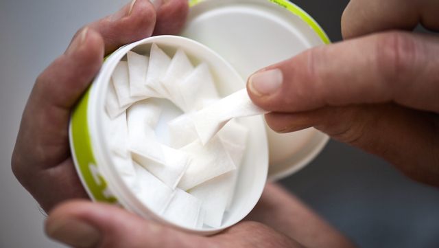 Det vita snuset tycks hotat. Foto: Janerik Henriksson/TT