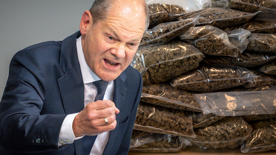 Tyskland allt närmare legalisering av cannabis. Foto: Johan Nilsson/Michael Kappeler/AP/TT