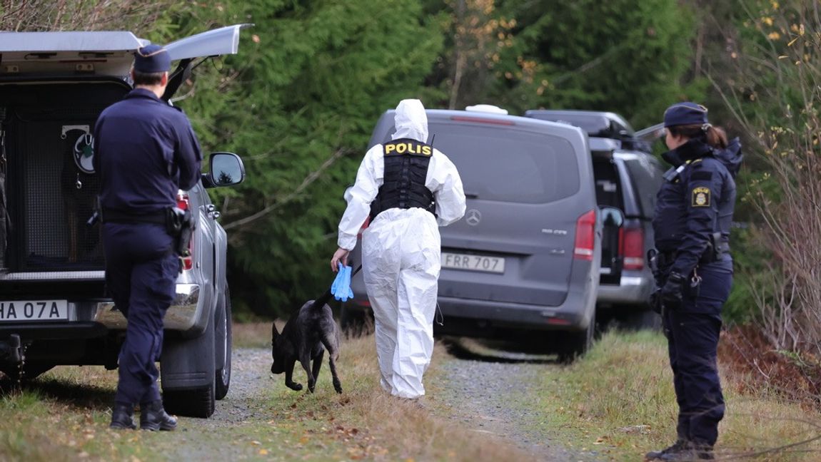 Mordet på Tove har skakat Sverige, inte minst på grund av att de misstänkta är två unga flickor.Foto: Adam Ihse/TT  