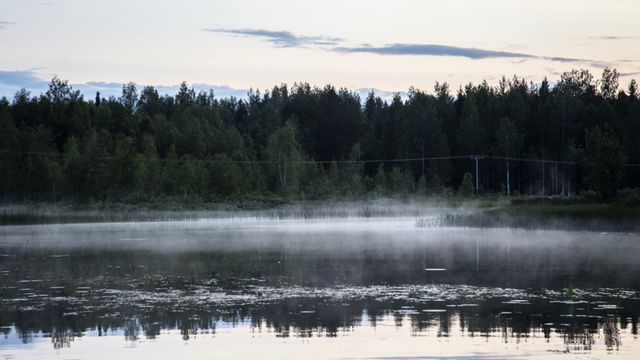 Foto: Helena Landstedt/TT.