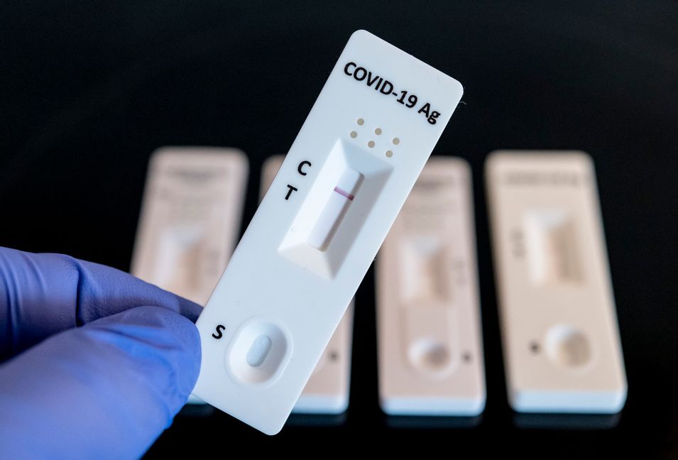 Den nya covidvarianten ”Nimbus” sprids snabbt i Asien och smittofall har hittats i Sverige. Arkivbild. Foto: Johan Nilsson/TT