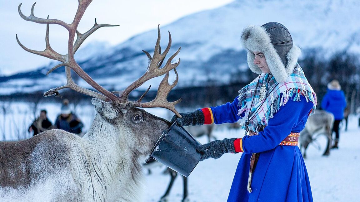 Samisk kvinna utfodrar renar. Foto: Lorie Shaull (CC BY 2.0) 