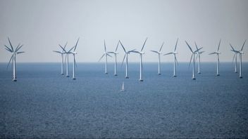 Foto: Johan Nilsson / TT.