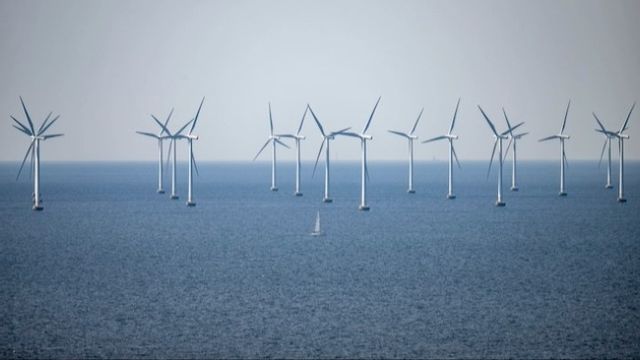 Foto: Johan Nilsson / TT.