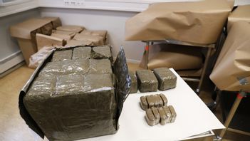 Beslagtagen cannabis i Norge. Arkivbild. Foto: CORNELIUS POPPE/NTB/TT