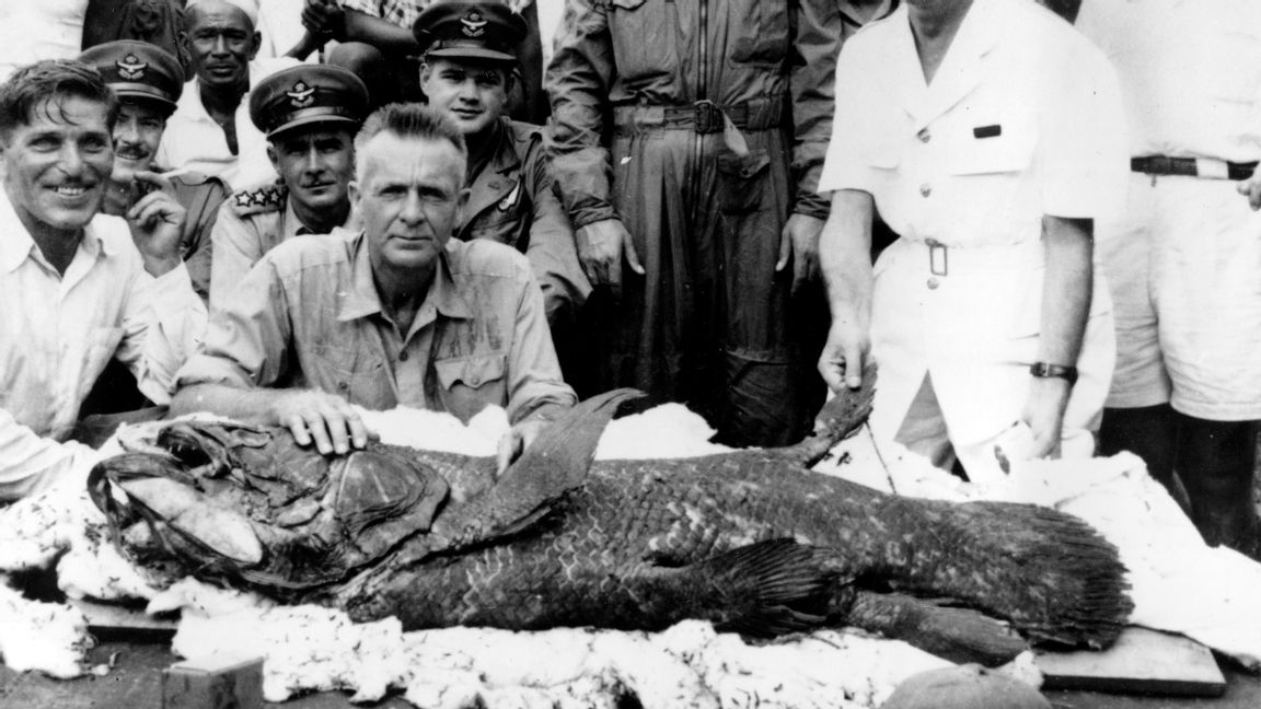 Prof. J.L.B. Smith var den förste som beskrev "kvastfeningen" vetenskapligt. Här är han på Komorerna med ett av de första exemplaren som fångades utanför Madagaskar i december 1952. Foto: AP/TT