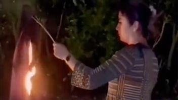 Kvinnor bränner hijab i protest. Foto: Skärmbild från videotweet @AlinejadMasih