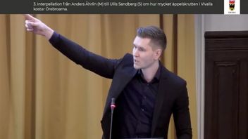 Markus Allard under en debatt om ett konstverk i form av ett äppelskrutt. Foto: Örebro kommun