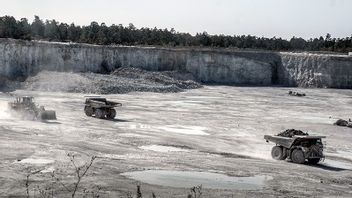 Cementas kalkbrott i Slite på Gotland. Foto: Magnus Hjalmarson Neideman/SvD/TT