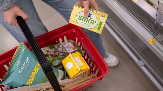 Kvinna med kundkorg handlar mat i en Ica-butik. Foto: Fredrik Sandberg / TT