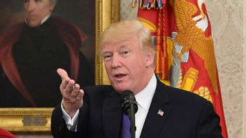 Foto: Susan Walsh/AP/TT